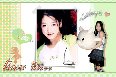 Park Shin Hye Wallpapers