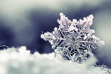 Desktop Wallpapers Snowflake, Wallpaper, Desktop Wallpapers ...