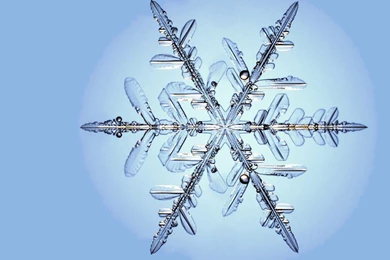 Desktop Wallpapers · Gallery · Miscellaneous · Snowflake