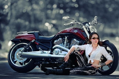 Harley Davidson And Girl