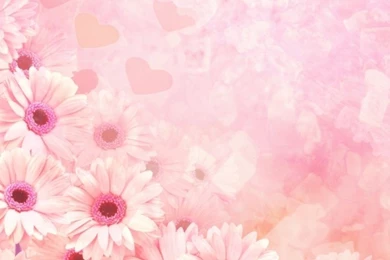 Cool Pink Wallpapers