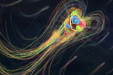 Love Comet Wallpapers