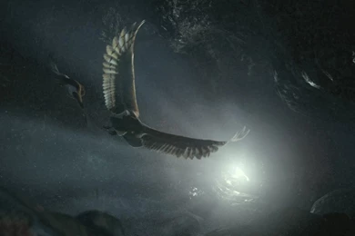 Legend, Wallpaper, Guardians, Desktop (