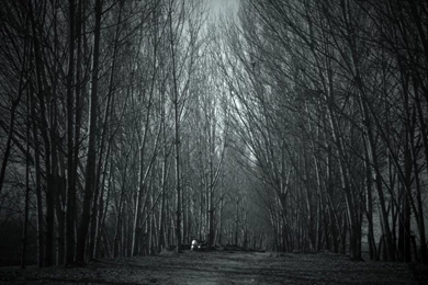 Macbook Pro Wallpapers Collection (43+)