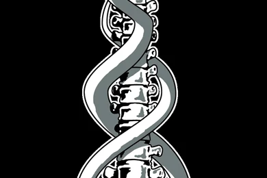 Kundalini By Aktn On DeviantArt