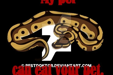 T Shirt Design Ball Python By Pestdoktor On DeviantArt