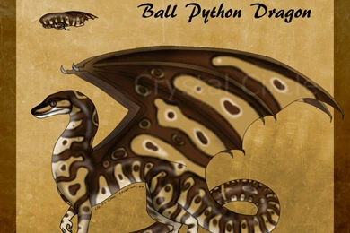 Ball Python Dragon 2  Closed!  By CrystalCircle On DeviantArt