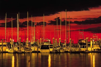 Wallpapers Gold And Black Nature Red Hd Free 1920x1080