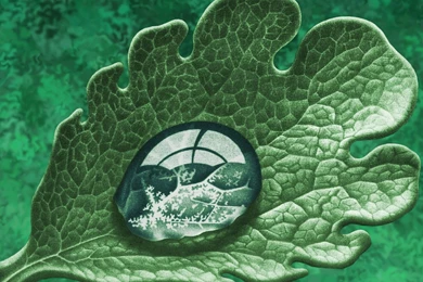 Santana Mannata's Blog