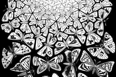 My Free Wallpapers   Artistic Wallpapers : Escher   Butterflies