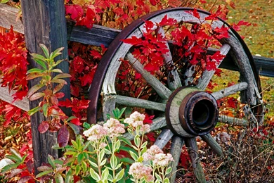 Webshots Wallpapers Collection « Day Recipe