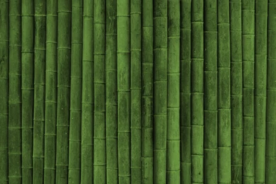 Bamboo Wall Related Keywords & Suggestions   Bamboo Wall Long Tail ...