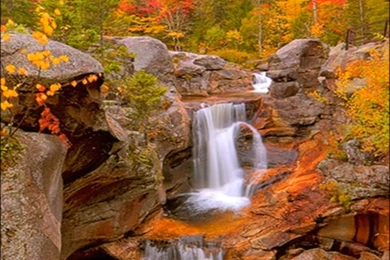 Awesome Autumn Autumn