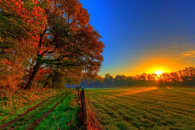 Autumn Wallpapers Best Wonderful   Fullwidehd.com