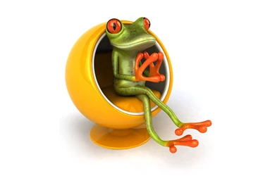 Free Frog 3d Wallpapers For Desktop Wallpapers   HD Wallpapers 81214