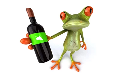 Wallpapers Frogs Free Frog D For 1920x1080