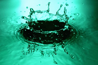 Water Drops Wallpapers