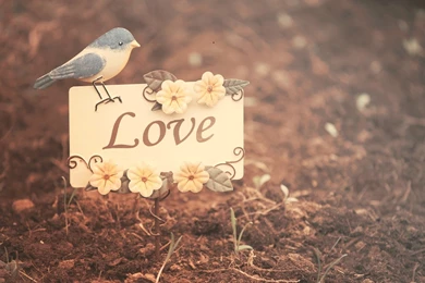 Cute Love Backgrounds Wallpapers HD Download Of Love Card