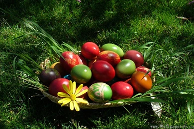 Easter Fun － Holiday Wallpapers   Free Download Wallpapers ...