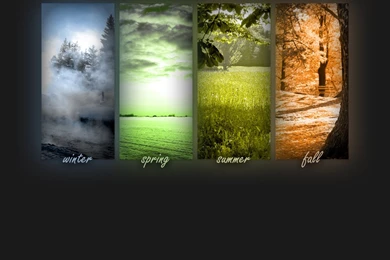 Four Seasons Wallpapers hd   Wallpapers Wave