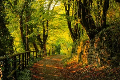 Autumn Season Wallpapers   5461