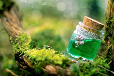 Beautiful girl in the rain girl hd wallpaper 2880x1800 20621