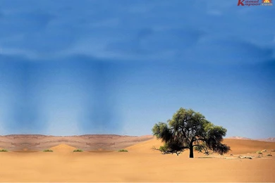 Seasons Wallpaper, Different Sizes Seasons Wallpapers, Free ...