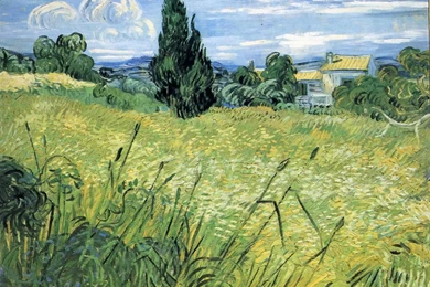 Wheatfield With Cypress 2   Post Impressionist Vincent Van Gogh ...
