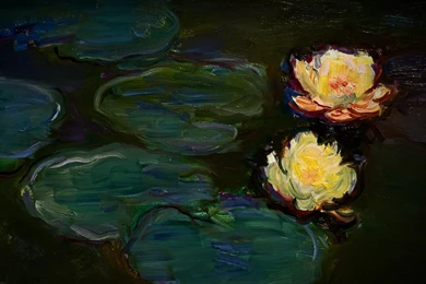 Download Paintings Flowers Wallpapers 1440x900