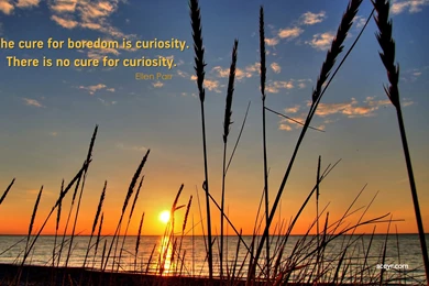 Sunset Nature Desktop Wallpapers