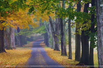Top Fall Wallpaper Images From Ky Wallpapers