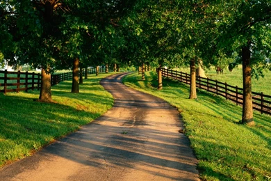 Kentucky Horse Farms Wallpapers