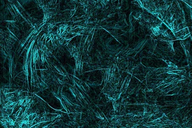 Disturbed Backgrounds   Wallpapers Cave