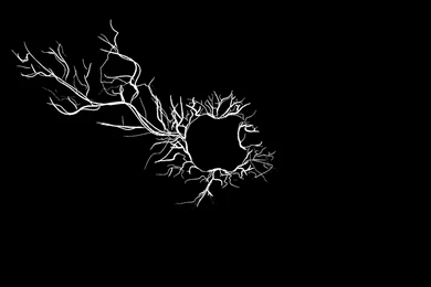 Apple Black And White Wallpapers » WallDevil Best Free HD Desktop ...