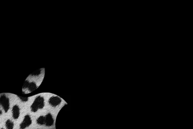 Wallpapers Black Tiger Apple Backgrounds Desktop Destop Bulkupload ...