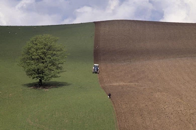 Download Spring Wales Wallpapers 1920x1080