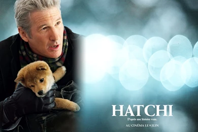 Wallpapers Martial Arts Detailed Info For Hachi A Dog S Tale Brrip ...