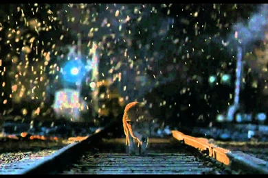 Hachiko   Ending Scene, Neverending Love   Full HD   YouTube
