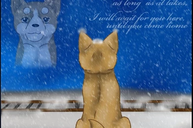 Hachiko WIP By Crimsonwolfumi On DeviantArt