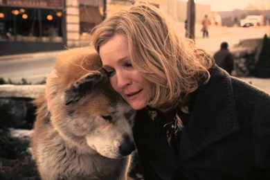 The Most Emotional Scene In Hachiko: A Dog's Story   YouTube