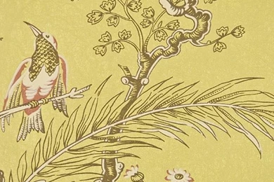 Floral Design Wallpapers By Lewis & Wood