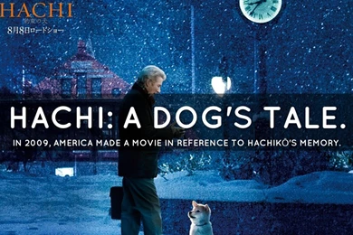 Hachikō By Flor Diaz