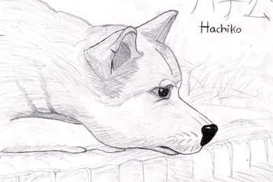 Hachiko 'Inked' By NiegelvonWolf On DeviantArt