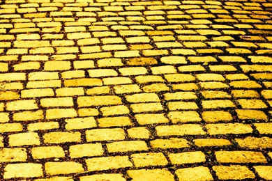 Celebrating 75 Years Of The Wizard Of Oz