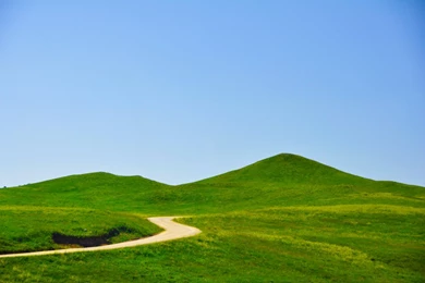 Follow The Yellow Brick Road By SoulSlayer2 On DeviantArt