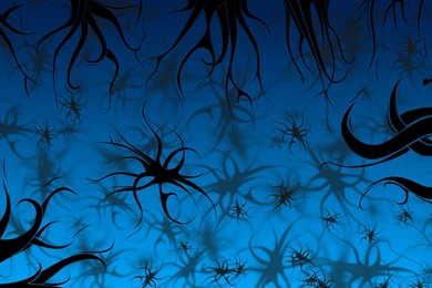 Black And Blue Pattern Backgrounds