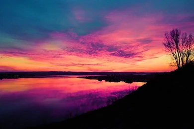 Pretty Free Wallpapers Soft Review