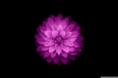 Apple IOS HD Desktop Wallpapers : Widescreen : High Definition ...