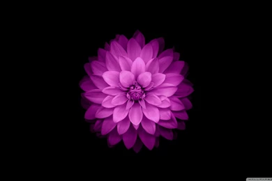 Apple IOS HD Desktop Wallpapers : Widescreen : High Definition ...