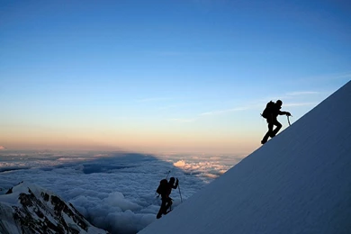 WALLPAPERS Free Of Charge For Download